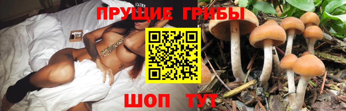Галлюциногенные грибы ЛСД  Вход с VPN  Псилоцибиновые грибы Cubensis  Старая Купавна 