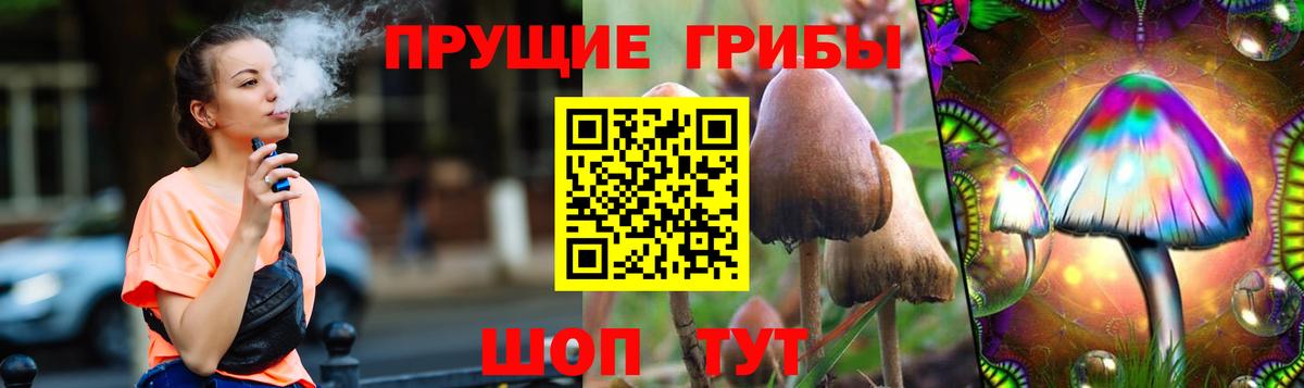 Псилоцибиновые грибы Cubensis Старая Купавна